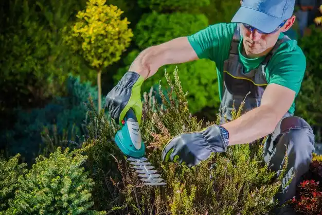 landscaping services Lyons